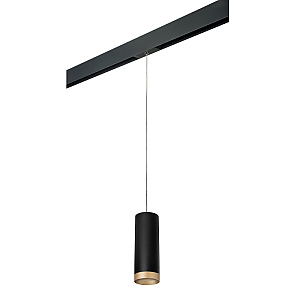 Трековый светильник Lightstar Rullo PRORP48740 (214487+595857+203440)