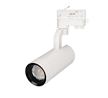 Трековый светодиодный светильник Arlight LGD-Gelios-4TR-R67-20W Day4000 033116