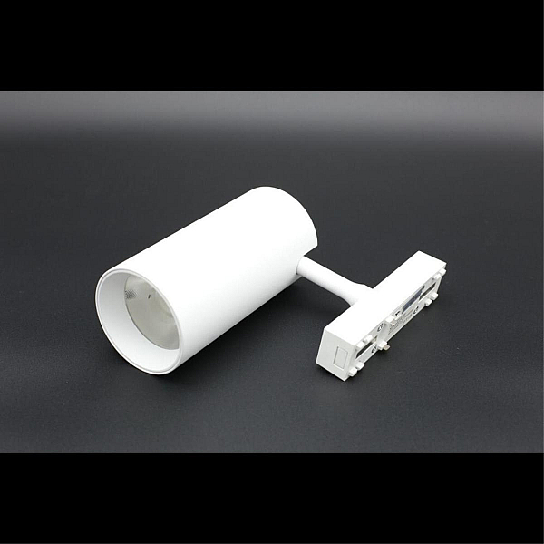 Светильник трековый Aployt Magnetic track 48 APL.0116.11.20