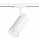 Трековый светодиодный светильник ST Luce Mono ST350.546.20.36