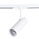 Трековый светодиодный светильник ST Luce Mono ST350.536.10.36