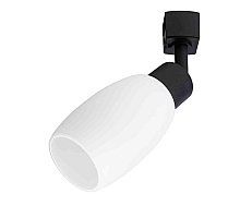 Светильник на шине ARTE Lamp A3055PL-1BK