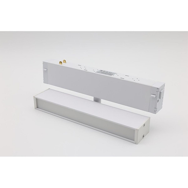 Трековый магнитный светильник Aployt Magnetic track 220 APL.0203.10.09