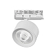 Трековый трехфазный светильник Quattro LED 60G с адаптером Lightstar Alta Pro A5536QT60G (215536 + 594036 + 215504)