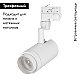 Трековый светодиодный светильник Arlight LGD-Zeus-4TR-R88-20W Cool SP7500-Fish 029944