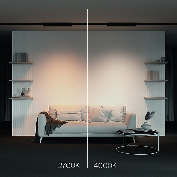 Трековый трехфазный светильник Maytoni Technical Basis TR196-3-20W4K-B(N)