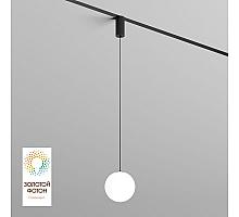 Трековый однофазный светильник Denkirs Smart Moon DK8052-BK