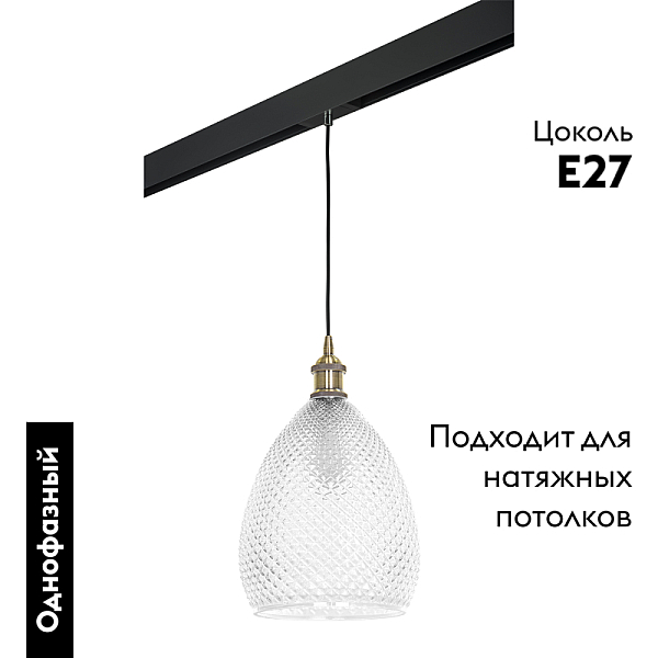Трековый светильник Lightstar Genni PRO798021 (798021+595007)