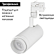 Трековый светильник Arlight LGD-Zeus-4TR-R100-30W Cool SP7500-Fish 029998