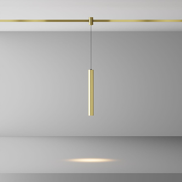 Трековый светильник Maytoni Technical TR155-1-5W3K-BS