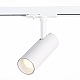 Трековый светодиодный светильник ST Luce Mono ST350.546.10.36