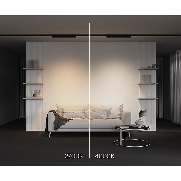 Трековый трехфазный светильник Maytoni Technical Basis TR196-3-20W4K-B(N)
