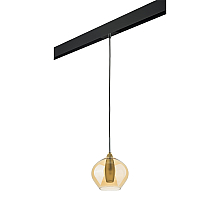 Трековый светильник Lightstar Pentola PRO803043 (803043+595007)