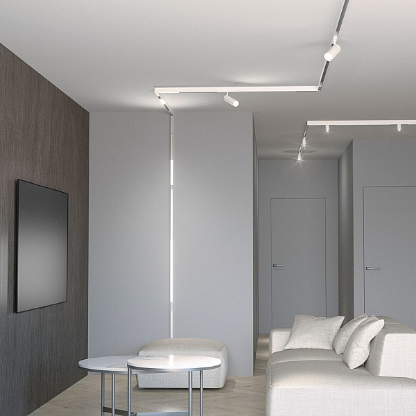 Трековый магнитный светильник Elektrostandard Slim Magnetic 85000/01 4690389220371 a072615