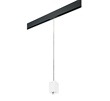 Трековый светильник Lightstar Rullo PRORP336 (216336+595957)
