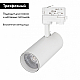 Трековый светильник Arlight LGD-Gera-4TR-R74-20W Day SP5000-Veg 032461
