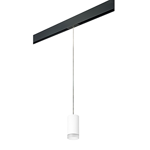 Трековый светильник Lightstar Rullo PRORP43630 (214436+595857+202430)