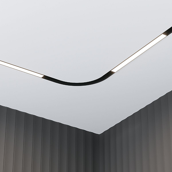Трековый светильник Maytoni Technical EXILITY Basis TR030-4-12WTW-DSZ-B