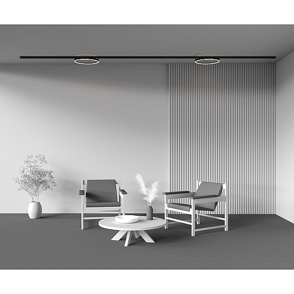 Трековый светильник Maytoni Technical TR227-2-24W4K-B