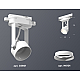 Трековый однофазный светильник Ambrella Light Track System XT6601001 (C6601, N6101)