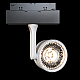 Трековый светильник Maytoni Oko TR024-2-10W3K