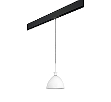 Трековый светильник Lightstar Agola PRO810020 (810020+595007)
