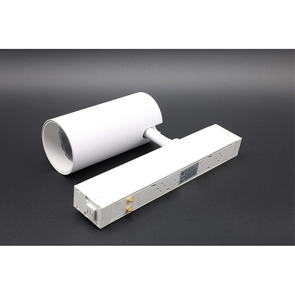 Трековый магнитный светильник Aployt Magnetic track 220 APL.0205.10.20