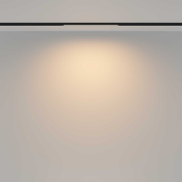 Трековый светильник Maytoni Technical TR173-1-8WTW-B
