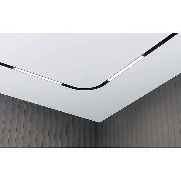 Трековый светильник Maytoni Technical EXILITY Basis TR030-4-12WTW-DSZ-B