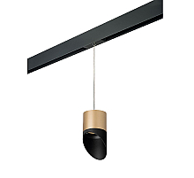 Трековый однофазный светильник Lightstar Rullo (213490+595887+201487) PRORP349087