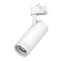 Трековый трехфазный светильник Quattro 20-55G с адаптером Lightstar Canno Pro C4206QT (304206 + 594006)