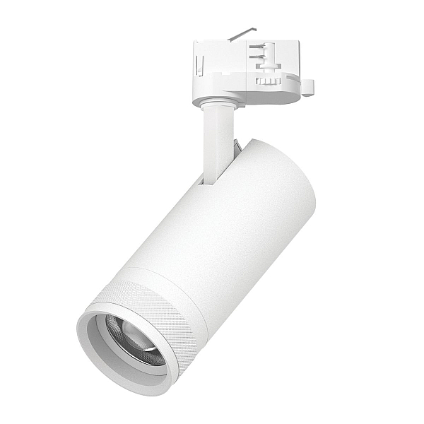 Трековый трехфазный светильник Quattro 20-55G с адаптером Lightstar Canno Pro C4206QT (304206 + 594006)