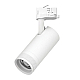 Трековый трехфазный светильник Quattro 20-55G с адаптером Lightstar Canno Pro C4206QT (304206 + 594006)