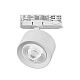 Трековый трехфазный светильник Quattro LED 60G с адаптером Lightstar Alta Pro A5546QT60G (215546 + 594036 + 215504)