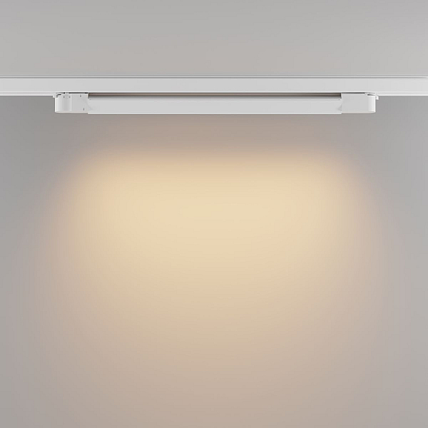 Трековый трехфазный светильник Maytoni Technical Basis TR196-3-20W2.7K-W(N)
