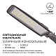 Уличный консольный светильник Apeyron 29-12