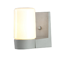 Уличный настенный светильник Arte Lamp Spasso A8058AL-1GY