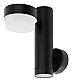 Уличный настенный светильник Arte Lamp BUDAPEST A2362AL-2BK