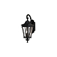 Настенный уличный светильник Feiss Cotswold lane FE-COTSLN2-M-BK