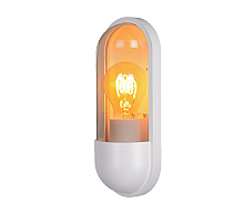 Уличный настенный светильник Lucide Capsule 29897/01/31