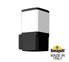 Уличный настенный светильник Fumagalli Virgilio DS3.562.000.AYF1R