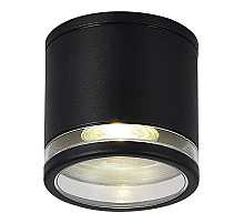 Уличный потолочный светильник ST Luce Tubo SL9009.402.01