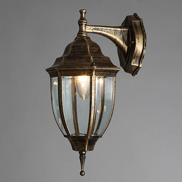 Уличный настенный светильник Arte Lamp Pegasus A3152AL-1BN