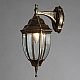 Уличный настенный светильник Arte Lamp Pegasus A3152AL-1BN