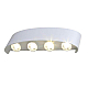 Уличный настенный светодиодный светильник ST Luce Bisello SL089.501.08