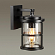 Уличный настенный светильник Odeon Light Nature Magus 4964/1W