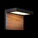 Уличный настенный светодиодный светильник Loft IT Oak 100001W