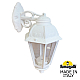 Уличный настенный светильник Fumagalli BISSO/SABA K22.131.000.WXE27 DN
