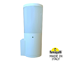 Уличный настенный светильник Fumagalli AMELIA WALL DR2.570.000.WYE27