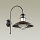 Уличный настенный светильник Odeon Light Nature Dante 4164/1WA